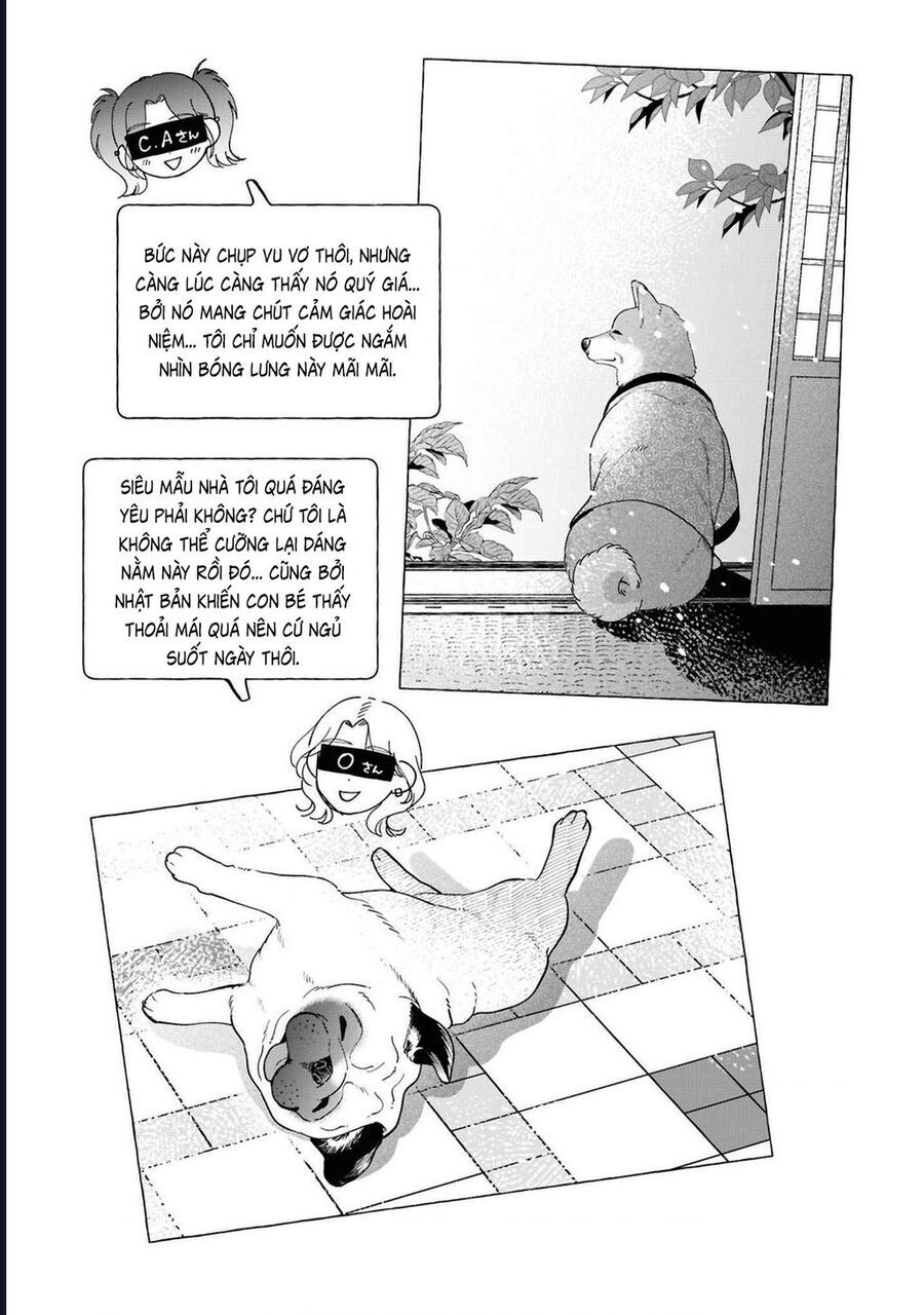 Đôi Ta Hoàn Toàn Trái Ngược Chap 375 - Next Chap 376