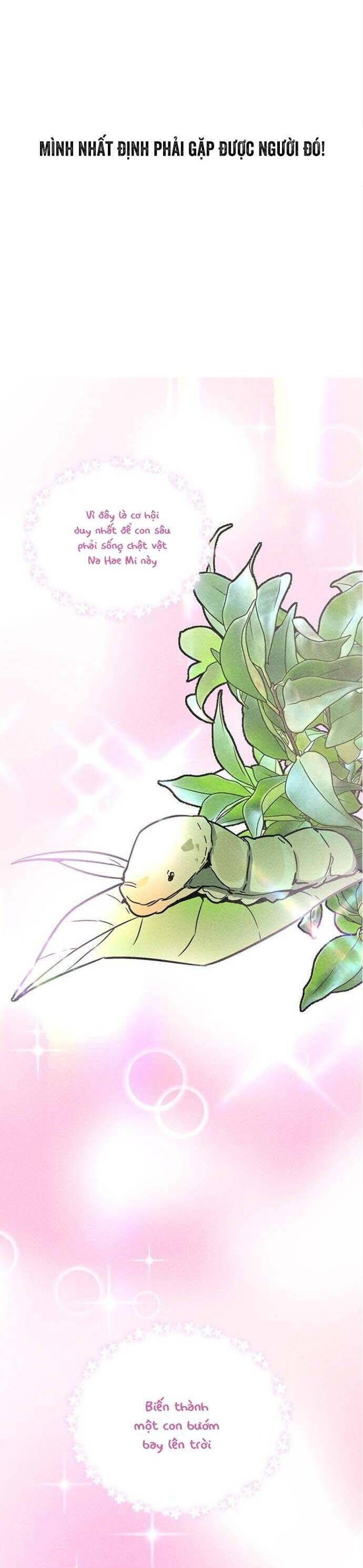 Đời Tư Của Chị Tôi Chap 5 - Next Chap 6