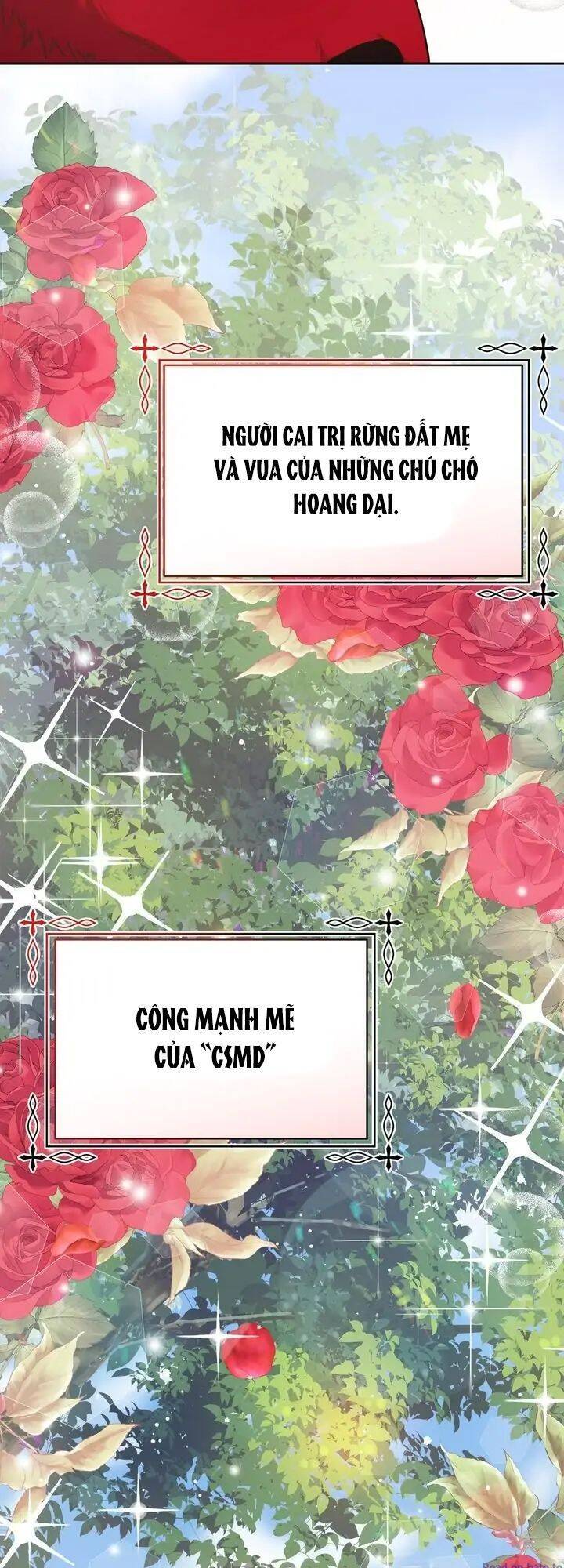 Du Khách Vào Ban Đêm Bí Ẩn Chap 7 - Next Chap 8