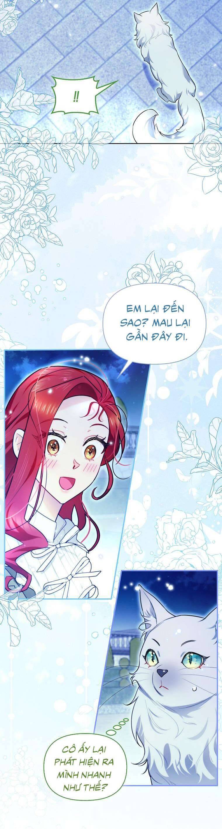 Dù Là Ác Nữ Nhưng Tôi Vẫn Phải Chăm Sóc Mèo Chap 12 - Next Chap 13