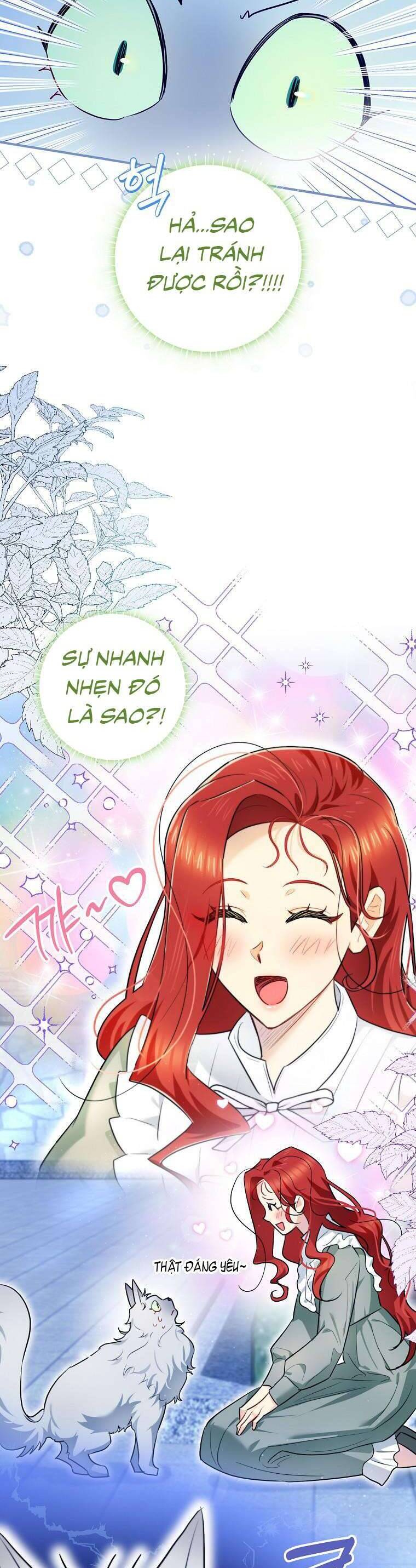 Dù Là Ác Nữ Nhưng Tôi Vẫn Phải Chăm Sóc Mèo Chap 12 - Next Chap 13