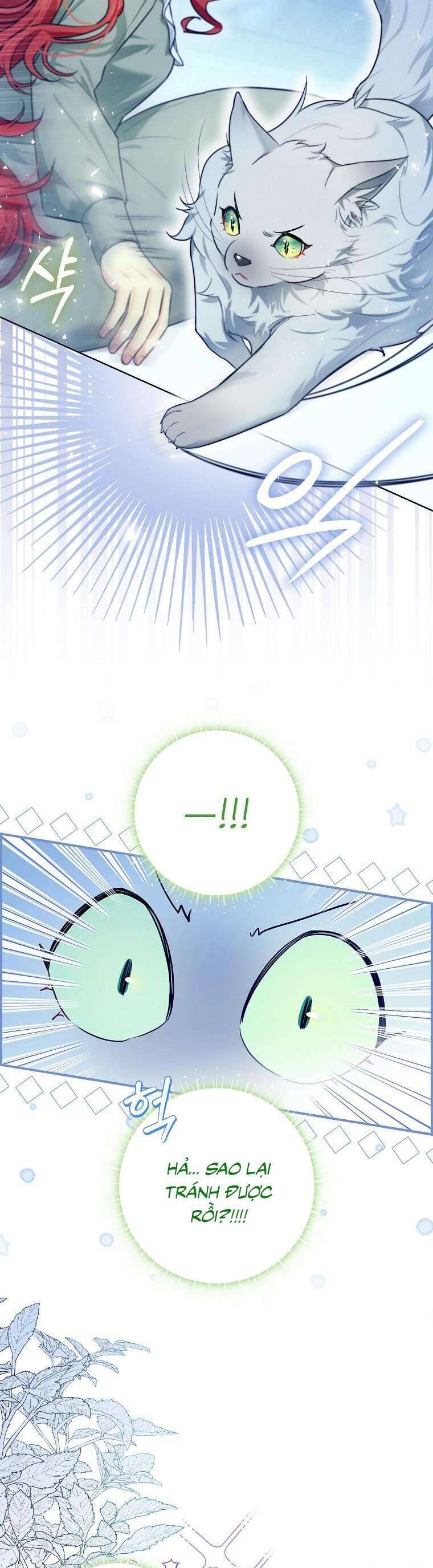 Dù Là Ác Nữ Nhưng Tôi Vẫn Phải Chăm Sóc Mèo Chap 13 - Next Chap 14