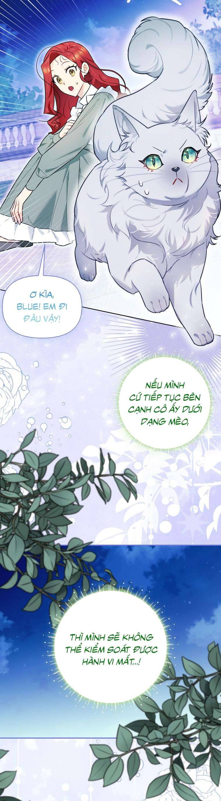 Dù Là Ác Nữ Nhưng Tôi Vẫn Phải Chăm Sóc Mèo Chap 13 - Next Chap 14