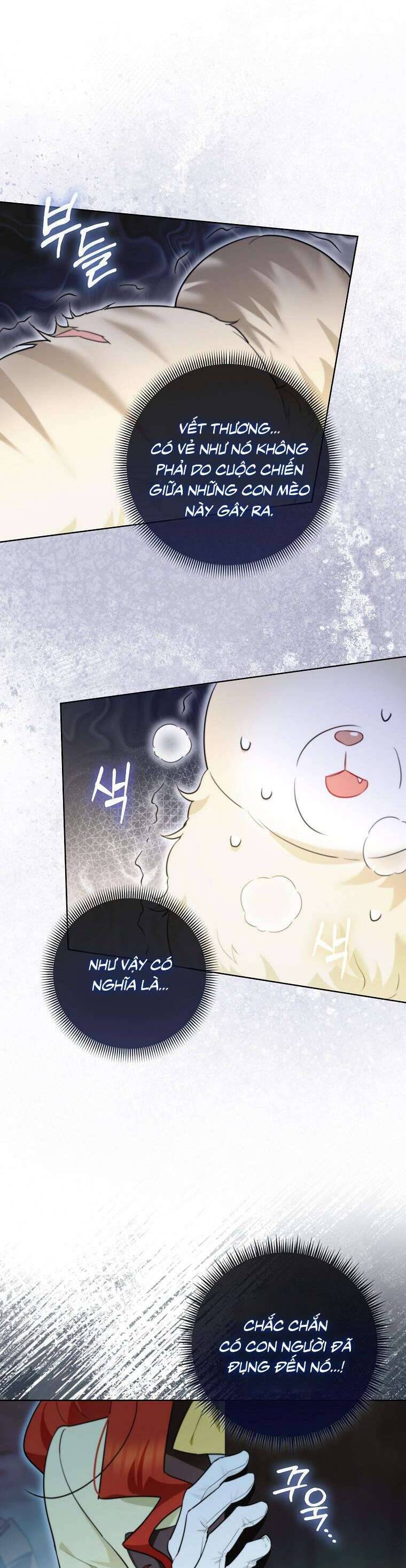 Dù Là Ác Nữ Nhưng Tôi Vẫn Phải Chăm Sóc Mèo Chap 13 - Next Chap 14