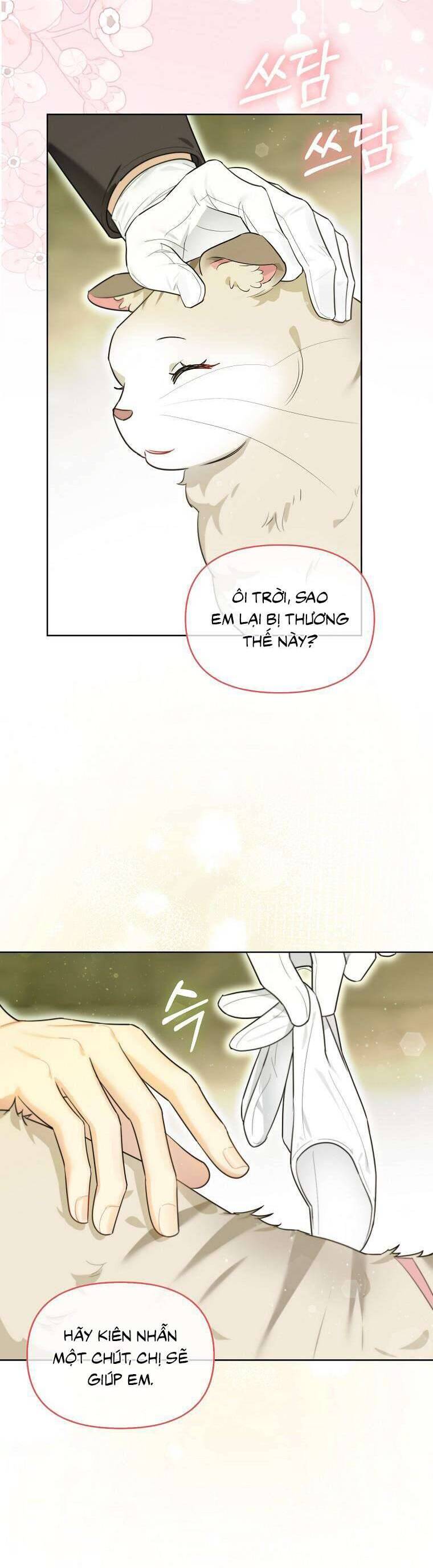 Dù Là Ác Nữ Nhưng Tôi Vẫn Phải Chăm Sóc Mèo Chap 13 - Next Chap 14