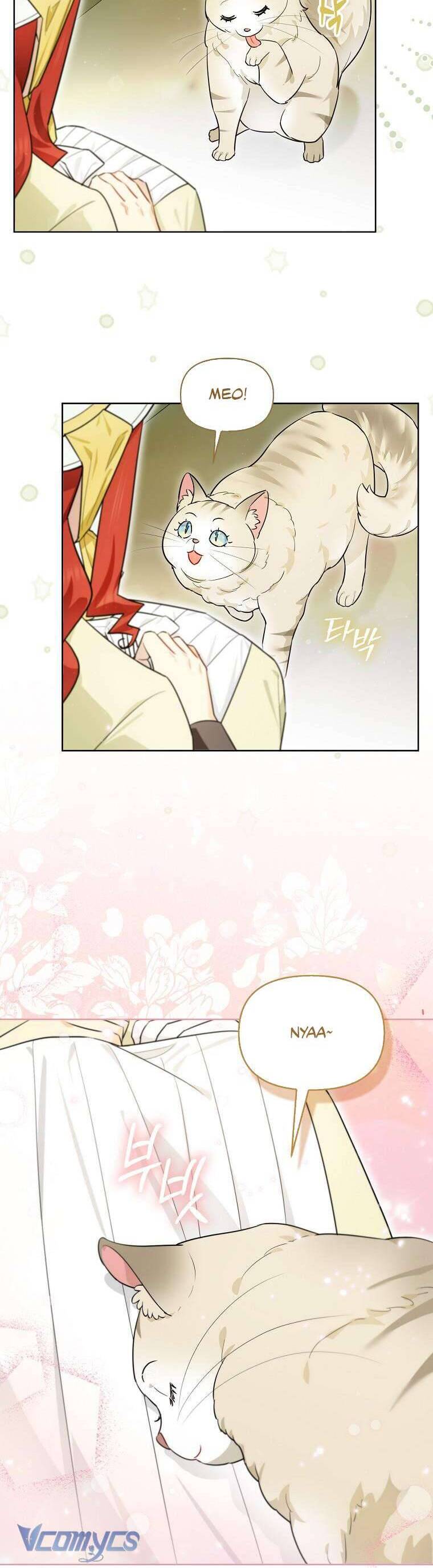 Dù Là Ác Nữ Nhưng Tôi Vẫn Phải Chăm Sóc Mèo Chap 13 - Next Chap 14