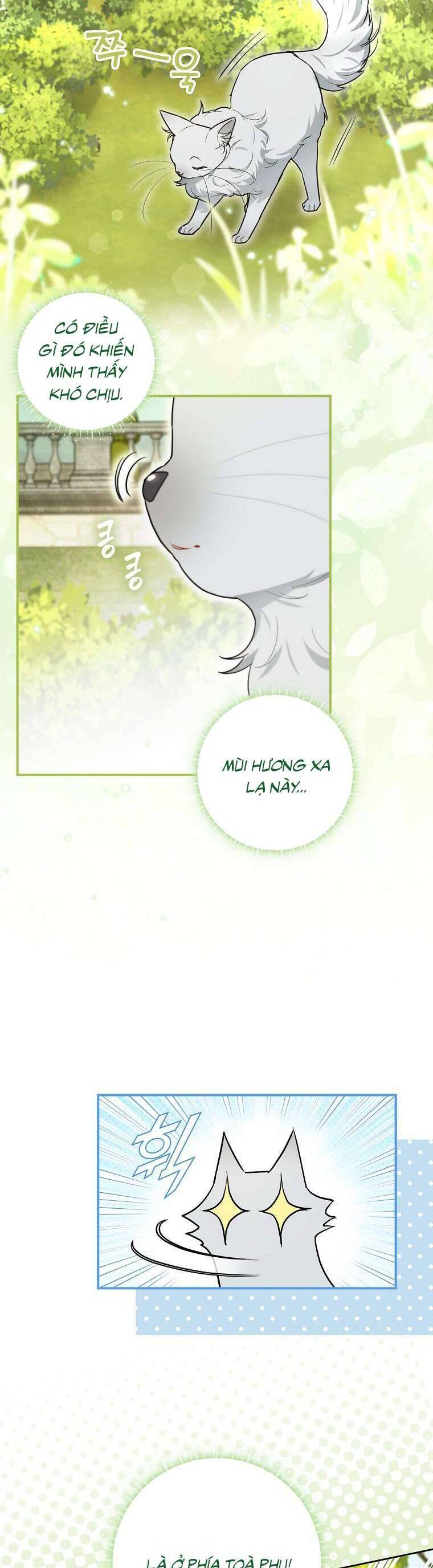 Dù Là Ác Nữ Nhưng Tôi Vẫn Phải Chăm Sóc Mèo Chap 13 - Next Chap 14