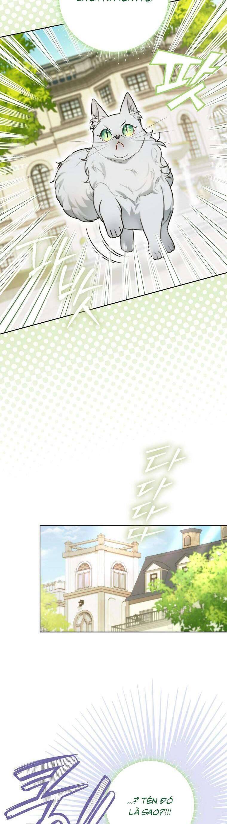 Dù Là Ác Nữ Nhưng Tôi Vẫn Phải Chăm Sóc Mèo Chap 13 - Next Chap 14