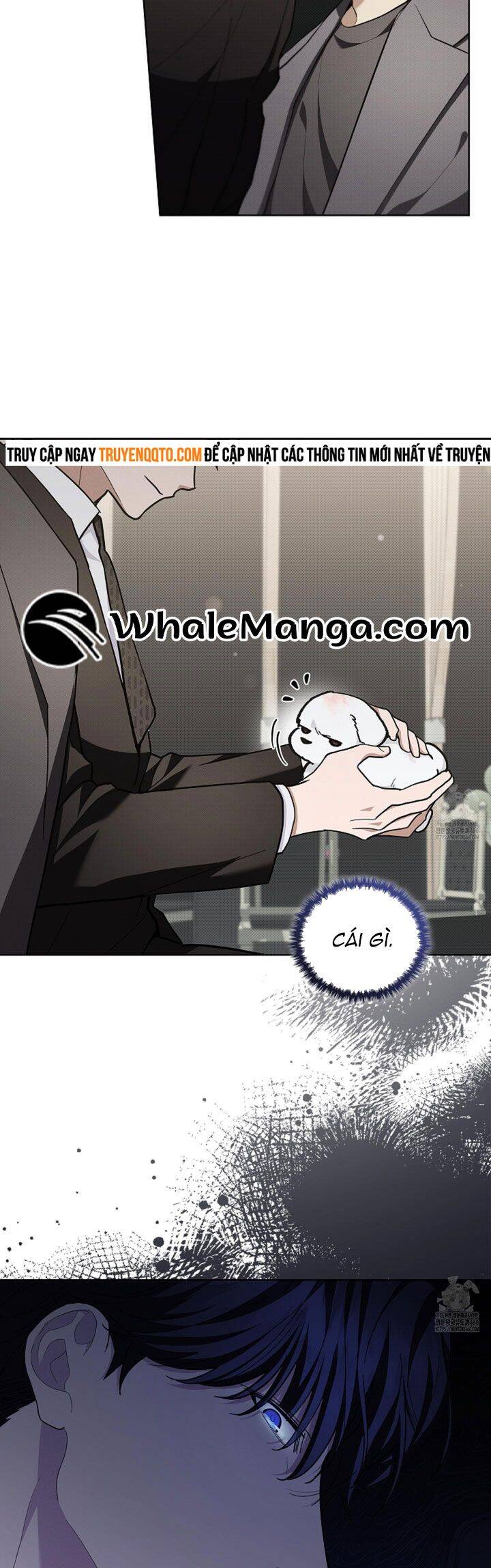 Đừng Đùa Với Cún Con Chap 11 - Next Chap 12