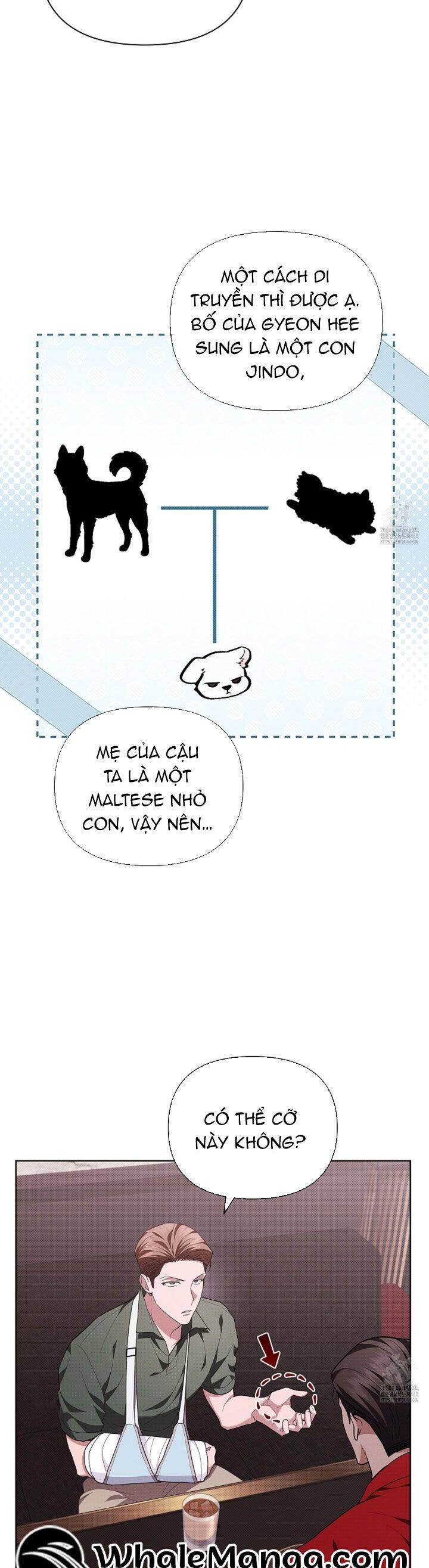 Đừng Đùa Với Cún Con Chap 11 - Next Chap 12
