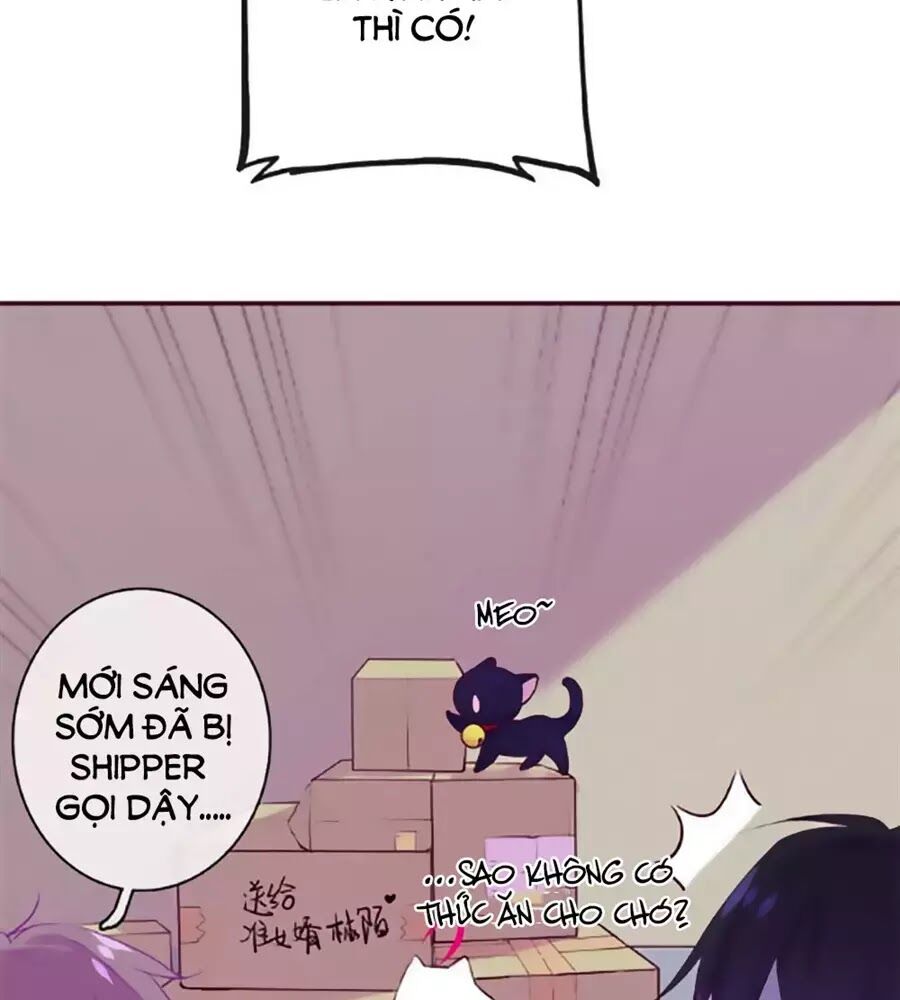 Đừng Nghịch, Ta Chỉ Muốn Yên Tĩnh Chap 65 - Next Chap 66