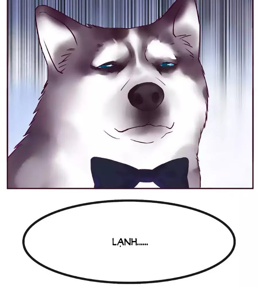 Đừng Nghịch, Ta Chỉ Muốn Yên Tĩnh Chap 66 - Next Chap 67
