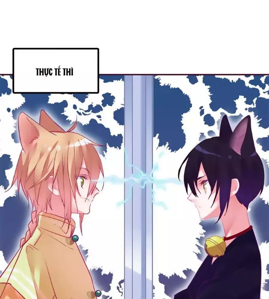 Đừng Nghịch, Ta Chỉ Muốn Yên Tĩnh Chap 69 - Next Chap 70