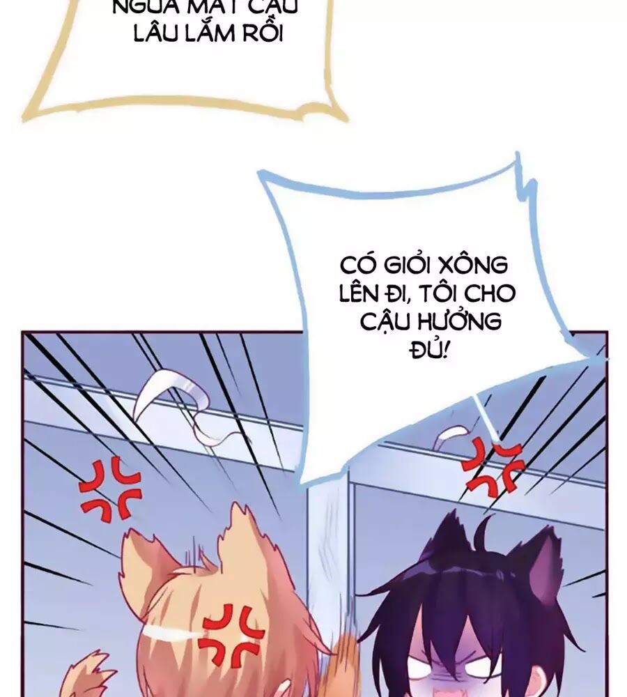 Đừng Nghịch, Ta Chỉ Muốn Yên Tĩnh Chap 69 - Next Chap 70