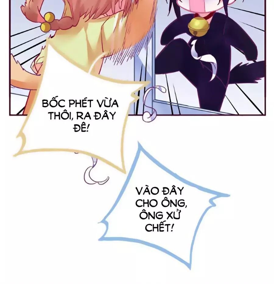 Đừng Nghịch, Ta Chỉ Muốn Yên Tĩnh Chap 69 - Next Chap 70