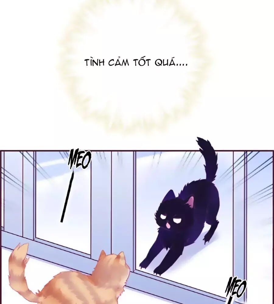 Đừng Nghịch, Ta Chỉ Muốn Yên Tĩnh Chap 69 - Next Chap 70