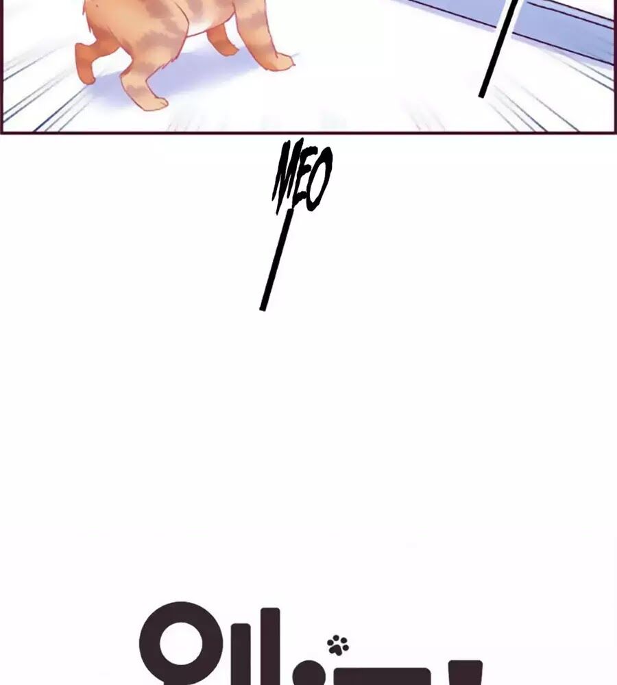 Đừng Nghịch, Ta Chỉ Muốn Yên Tĩnh Chap 69 - Next Chap 70