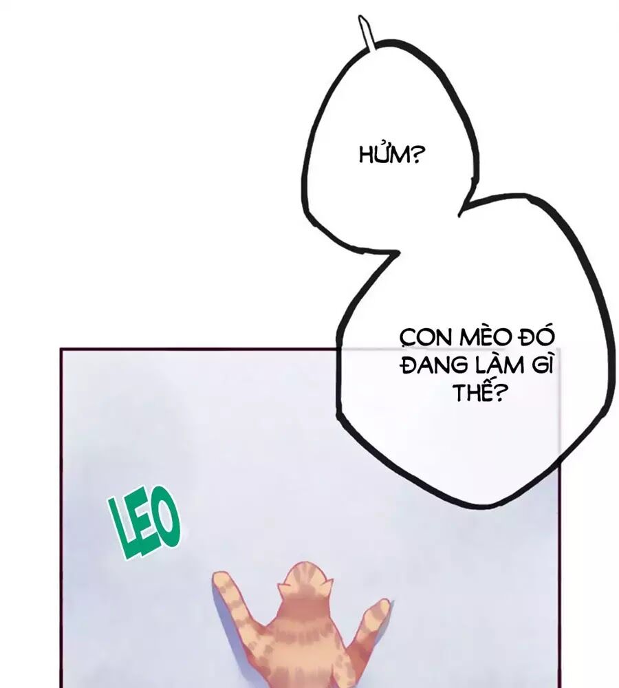 Đừng Nghịch, Ta Chỉ Muốn Yên Tĩnh Chap 69 - Next Chap 70