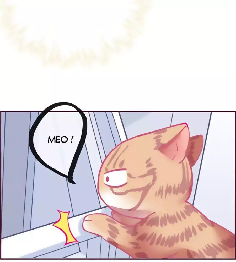 Đừng Nghịch, Ta Chỉ Muốn Yên Tĩnh Chap 69 - Next Chap 70