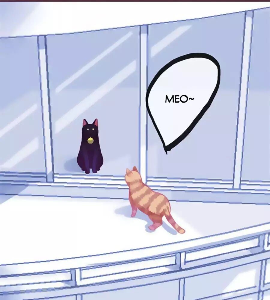 Đừng Nghịch, Ta Chỉ Muốn Yên Tĩnh Chap 69 - Next Chap 70