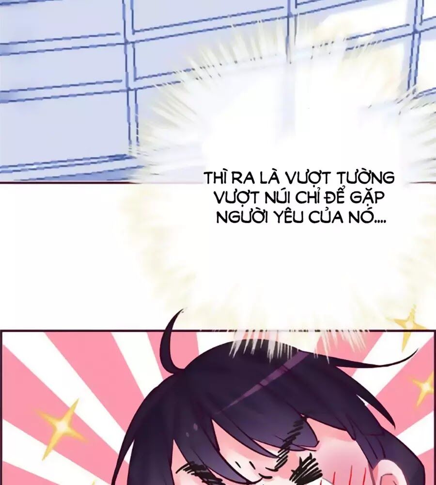 Đừng Nghịch, Ta Chỉ Muốn Yên Tĩnh Chap 69 - Next Chap 70