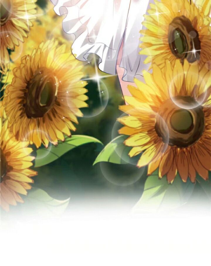 Đúng Như Hàn Quang Gặp Nắng Gắt Chap 12 - Next Chap 13