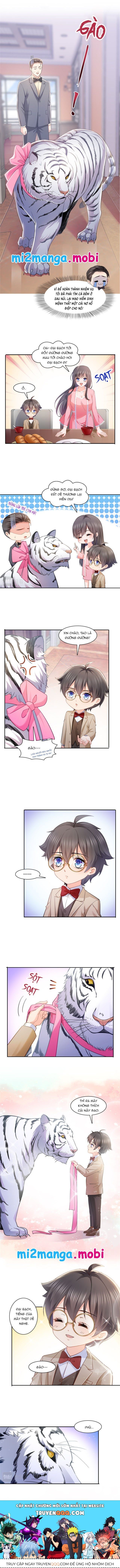 Đúng Như Hàn Quang Gặp Nắng Gắt Chap 208 - Next Chap 209