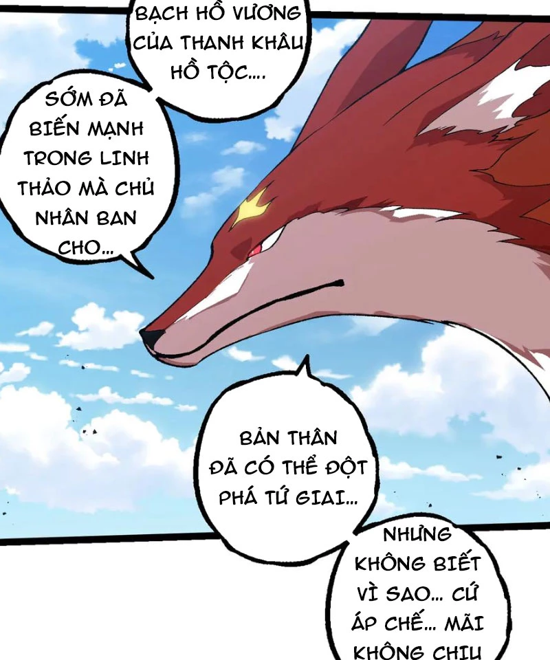 Đúng Như Hàn Quang Gặp Nắng Gắt Chap 505 - Next Chap 506