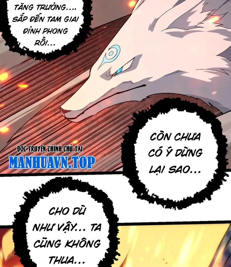 Đúng Như Hàn Quang Gặp Nắng Gắt Chap 505 - Next Chap 506