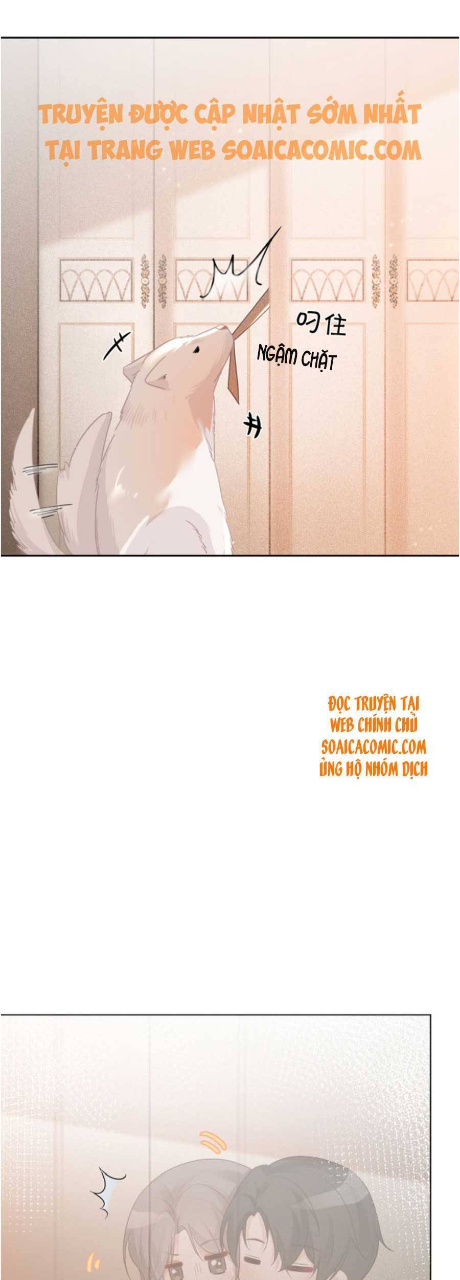Được Các Anh Trai Chiều Chuộng Tôi Trở Nên Ngang Tàng Chap 59 - Next Chap 60
