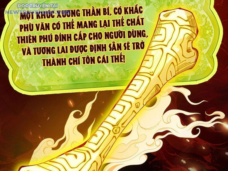 Gặp Mạnh Thì Càng Mạnh, Tu Vi Của Ta Không Giới Hạn Chap 10 - Next Chap 11
