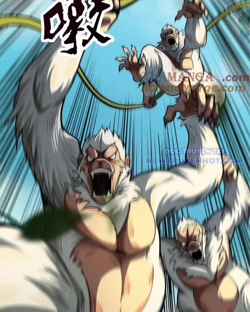Gặp Mạnh Thì Càng Mạnh, Tu Vi Của Ta Không Giới Hạn Chap 16 - Next Chap 17