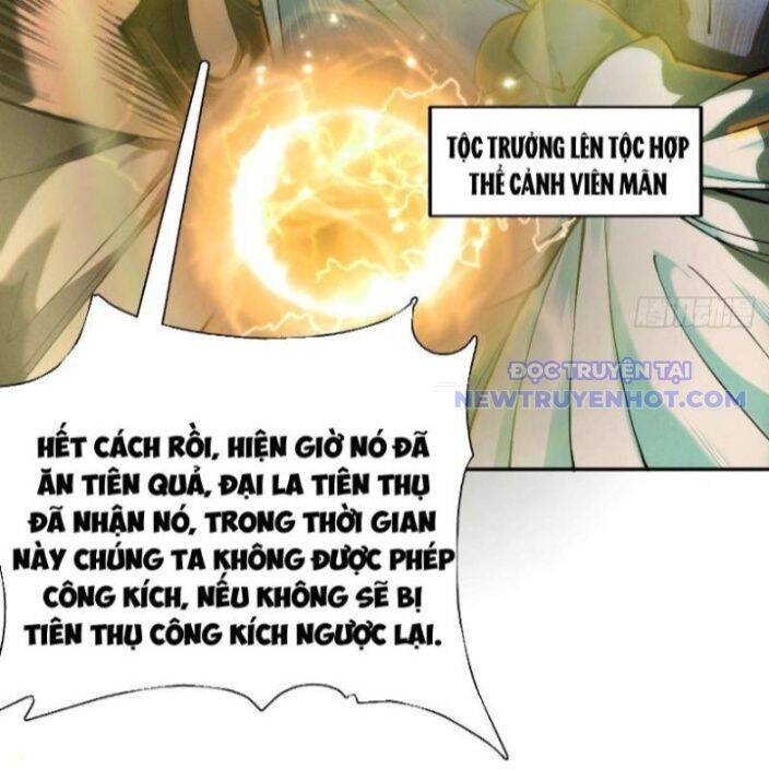 Gặp Mạnh Thì Càng Mạnh, Tu Vi Của Ta Không Giới Hạn Chap 17 - Next Chap 18