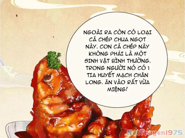 Gặp Mạnh Thì Càng Mạnh, Tu Vi Của Ta Không Giới Hạn Chap 41 - Next Chap 42