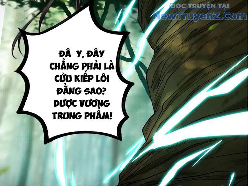 Gặp Mạnh Thì Càng Mạnh, Tu Vi Của Ta Không Giới Hạn Chap 45 - Next Chap 46