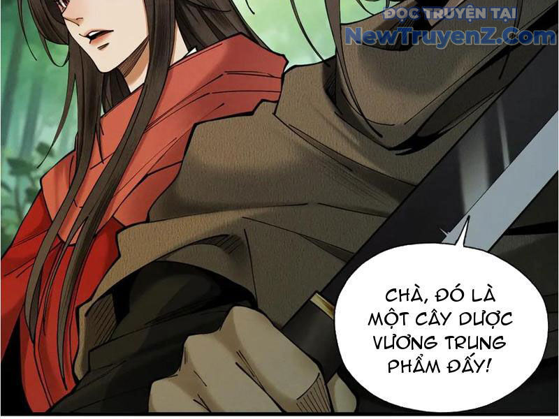 Gặp Mạnh Thì Càng Mạnh, Tu Vi Của Ta Không Giới Hạn Chap 45 - Next Chap 46