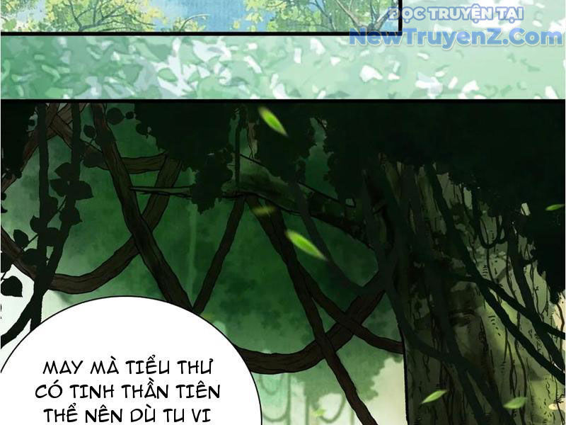 Gặp Mạnh Thì Càng Mạnh, Tu Vi Của Ta Không Giới Hạn Chap 45 - Next Chap 46