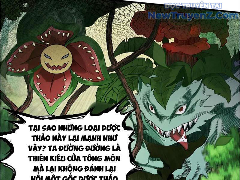 Gặp Mạnh Thì Càng Mạnh, Tu Vi Của Ta Không Giới Hạn Chap 45 - Next Chap 46