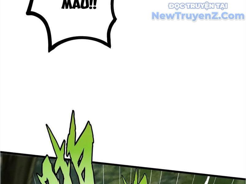 Gặp Mạnh Thì Càng Mạnh, Tu Vi Của Ta Không Giới Hạn Chap 45 - Next Chap 46