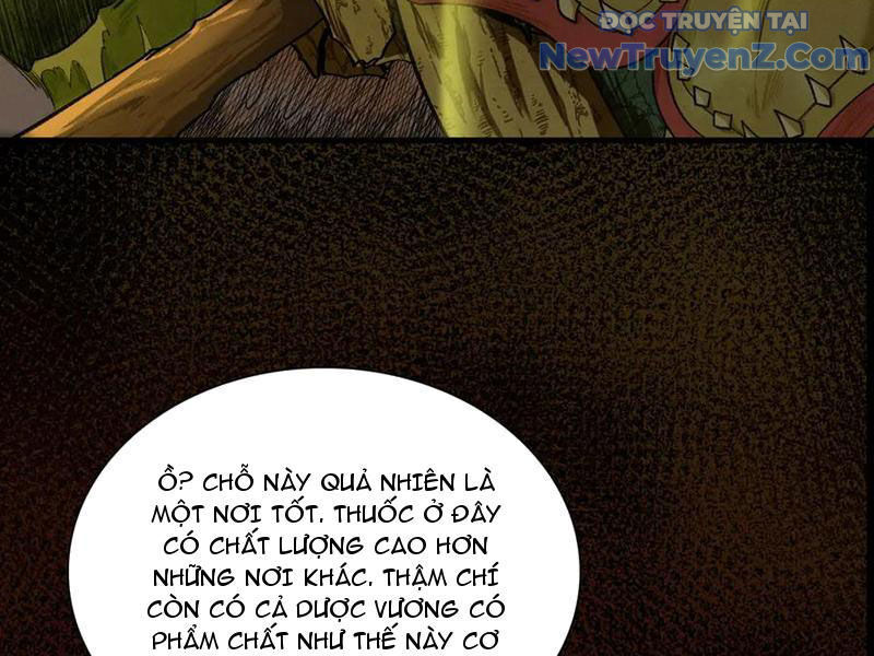 Gặp Mạnh Thì Càng Mạnh, Tu Vi Của Ta Không Giới Hạn Chap 47 - Next Chap 48