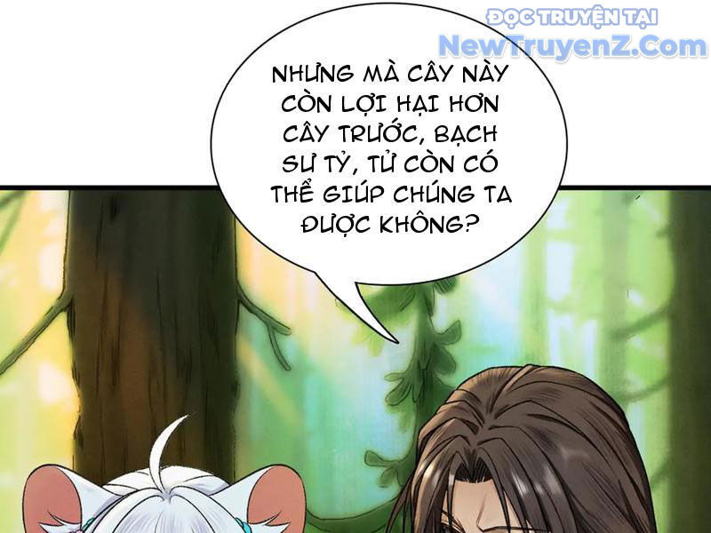 Gặp Mạnh Thì Càng Mạnh, Tu Vi Của Ta Không Giới Hạn Chap 47 - Next Chap 48