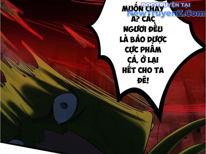 Gặp Mạnh Thì Càng Mạnh, Tu Vi Của Ta Không Giới Hạn Chap 48 - Next Chap 49