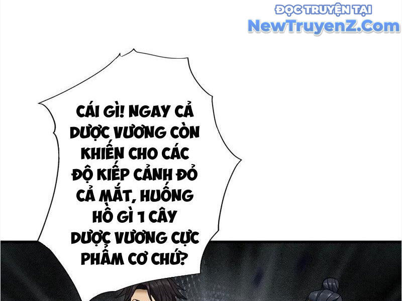 Gặp Mạnh Thì Càng Mạnh, Tu Vi Của Ta Không Giới Hạn Chap 48 - Next Chap 49