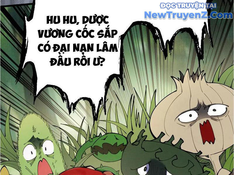 Gặp Mạnh Thì Càng Mạnh, Tu Vi Của Ta Không Giới Hạn Chap 48 - Next Chap 49