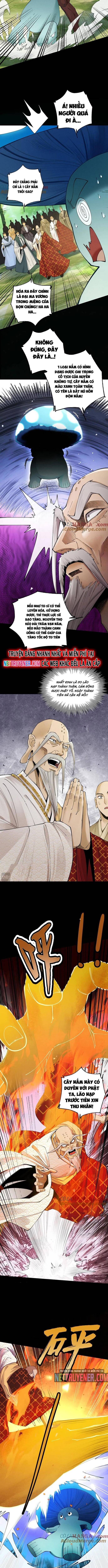 Gặp Mạnh Thì Càng Mạnh, Tu Vi Của Ta Không Giới Hạn Chap 49 - Next Chap 50