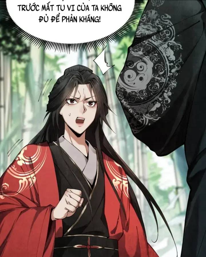 Gặp Mạnh Thì Càng Mạnh, Tu Vi Của Ta Không Giới Hạn Chap 5 - Next Chap 6
