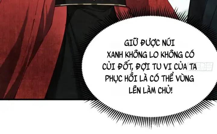 Gặp Mạnh Thì Càng Mạnh, Tu Vi Của Ta Không Giới Hạn Chap 5 - Next Chap 6