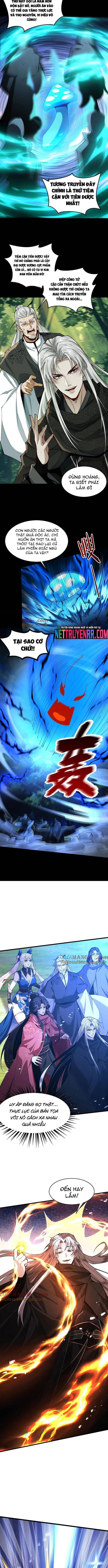 Gặp Mạnh Thì Càng Mạnh, Tu Vi Của Ta Không Giới Hạn Chap 50 - Next Chap 51