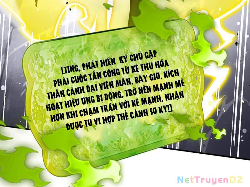 Gặp Mạnh Thì Mạnh, Ta Tu Vi Vô Thượng Hạn Chap 55 - Next Chap 56