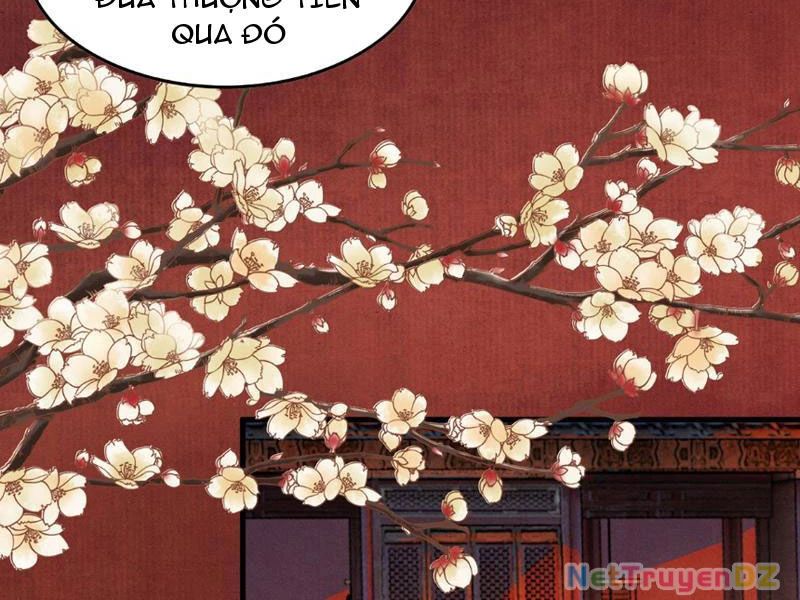 Gặp Mạnh Thì Mạnh, Ta Tu Vi Vô Thượng Hạn Chap 6 - Next Chap 7